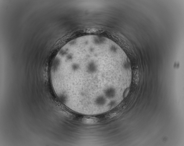 X0000095520510200801111439