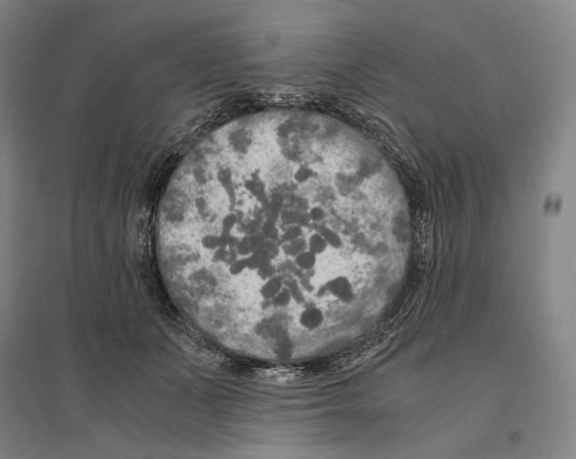 X0000095520511200801111439