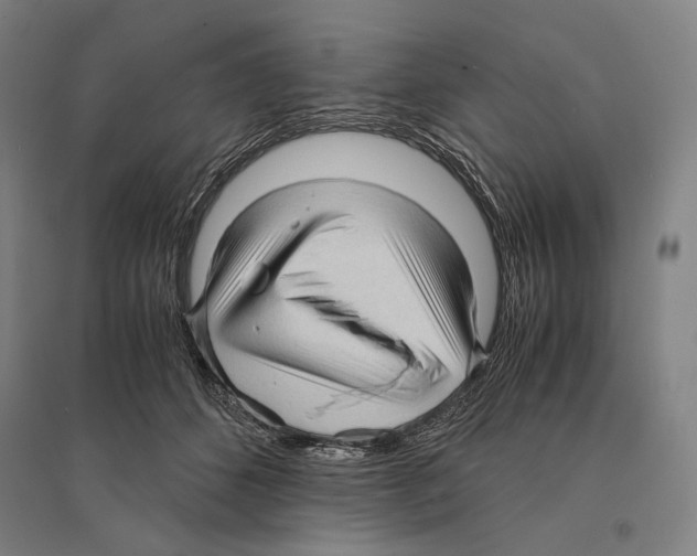 X0000095520512200801111439