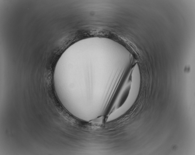 X0000095520513200801111439