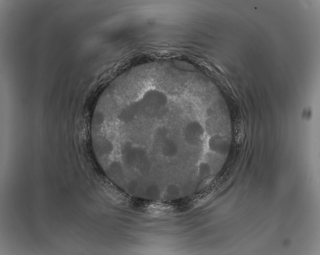 X0000095520515200801111439