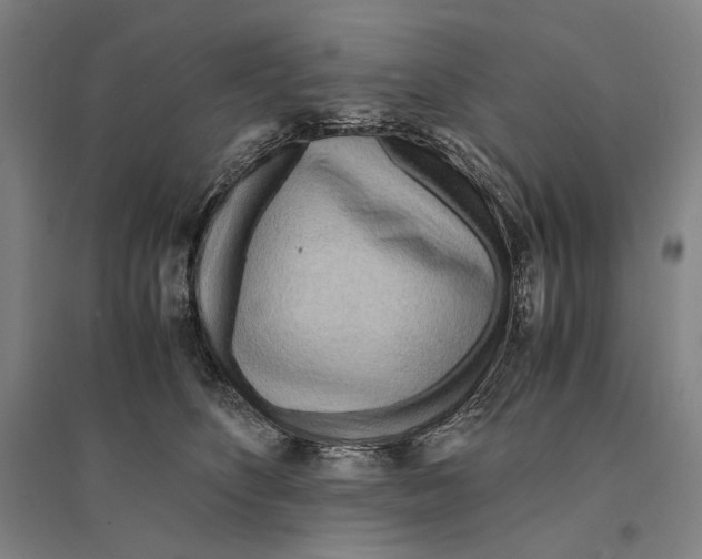 X0000095520516200801111439