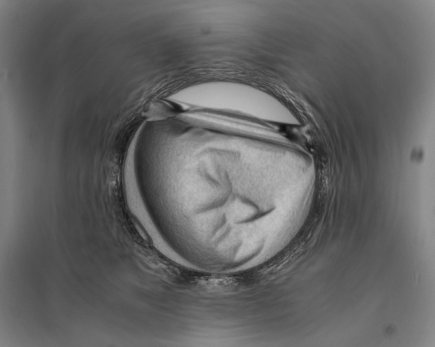 X0000095520517200801111439