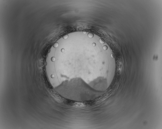 X0000095520519200801111439