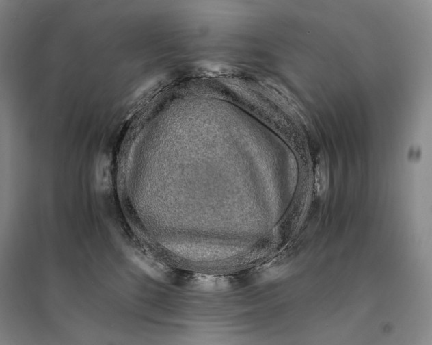 X0000095520520200801111439