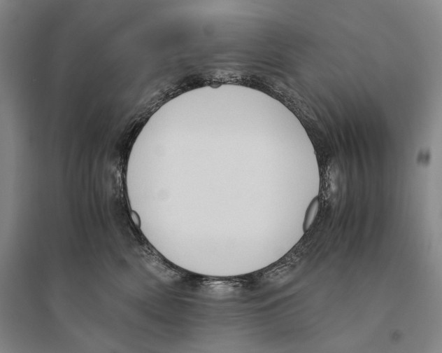 X0000095520522200801111439