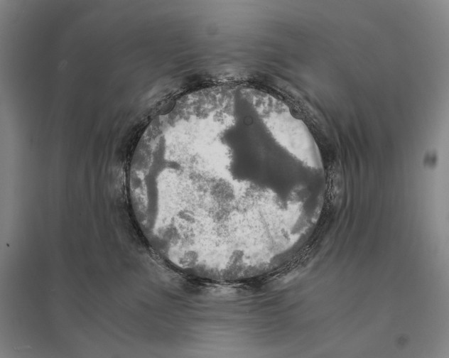 X0000095520523200801111439