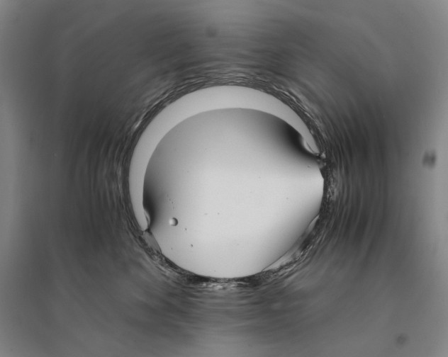 X0000095520524200801111439