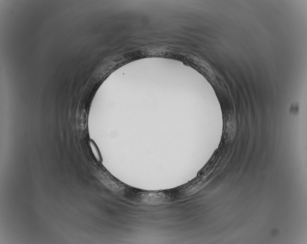 X0000095520525200801111439