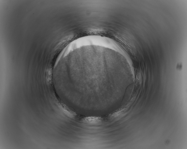 X0000095520526200801111439