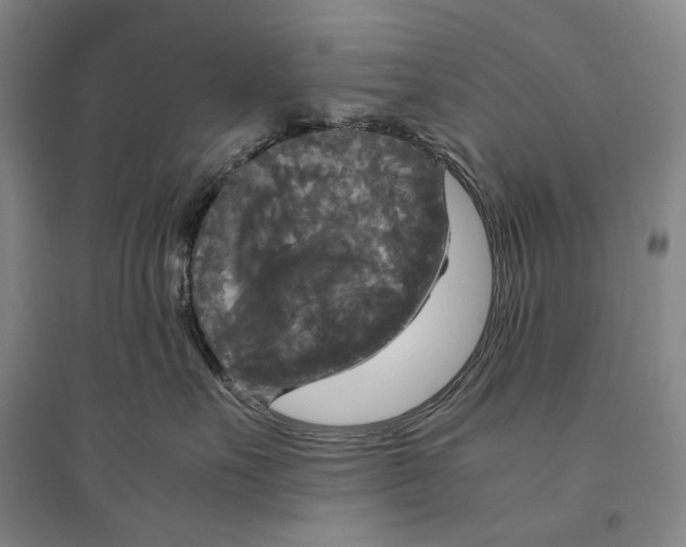 X0000095520527200801111439