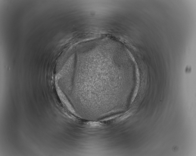 X0000095520528200801111439