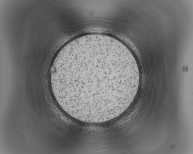 X0000095520529200801111438