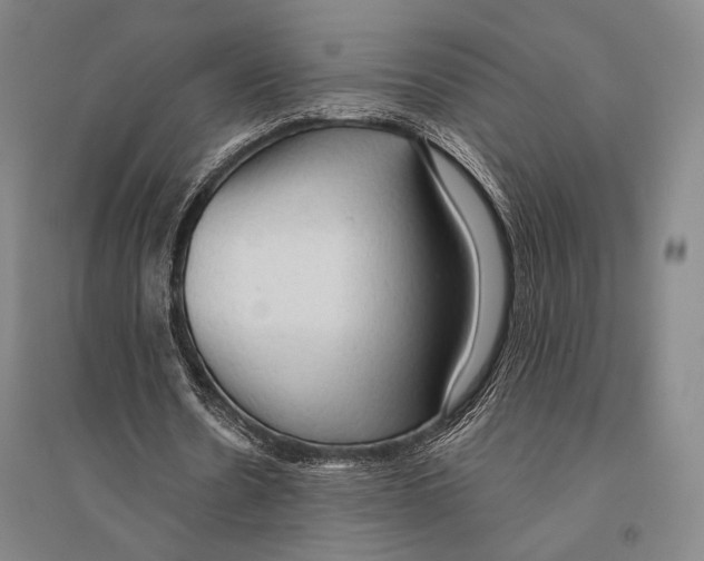 X0000095520530200801111438