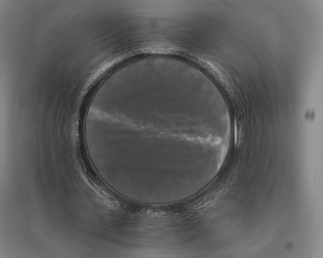 X0000095520531200801111438