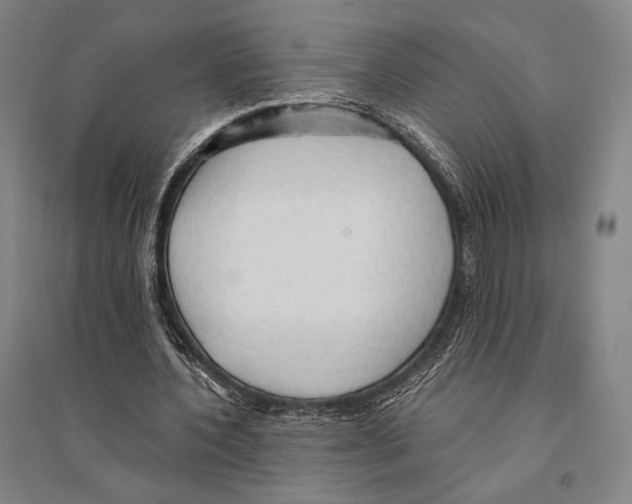 X0000095520532200801111438