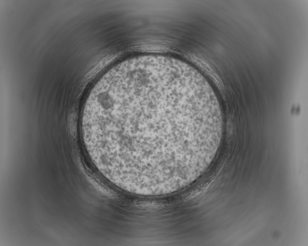 X0000095520533200801111438