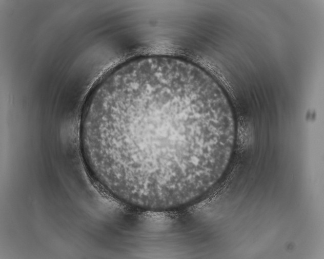 X0000095520534200801111438