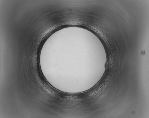 X0000095520535200801111438