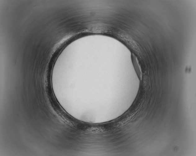 X0000095520536200801111438