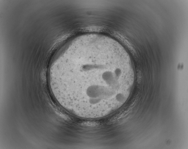 X0000095520537200801111438