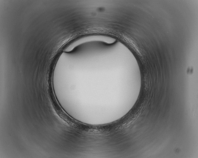 X0000095520538200801111438