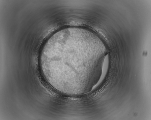 X0000095520539200801111438