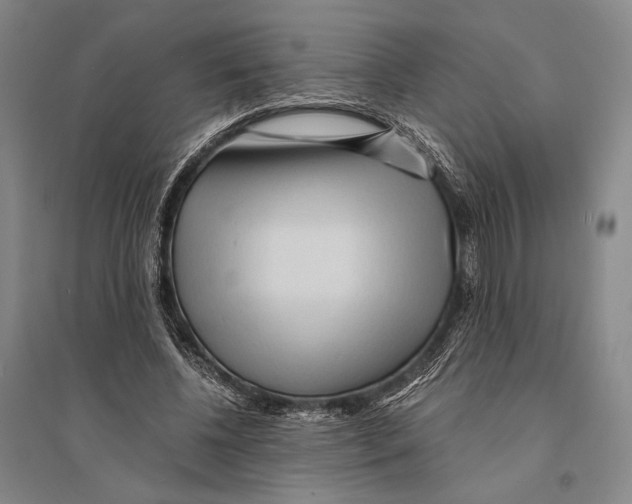 X0000095520540200801111438