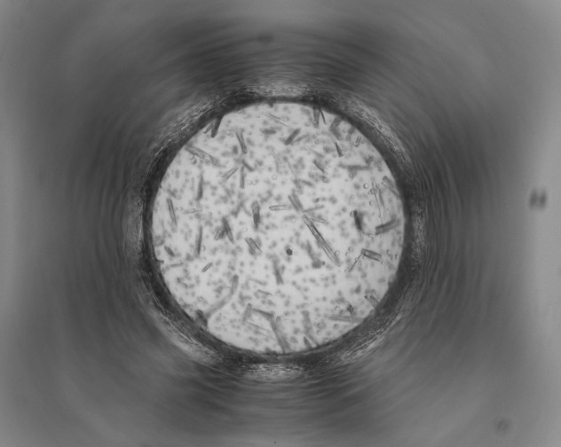X0000095520541200801111438