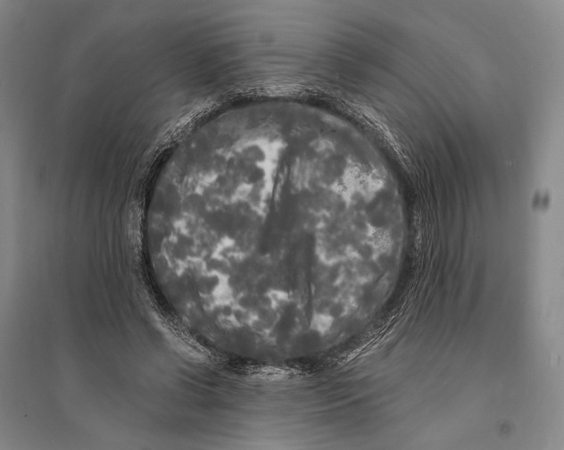 X0000095520542200801111438