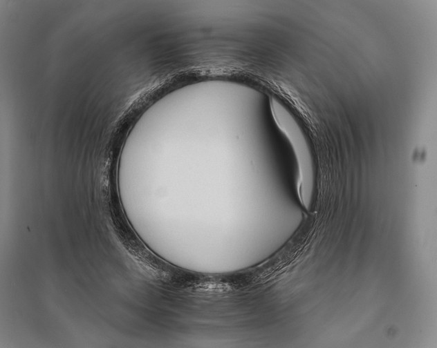 X0000095520543200801111438