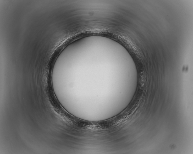 X0000095520544200801111438