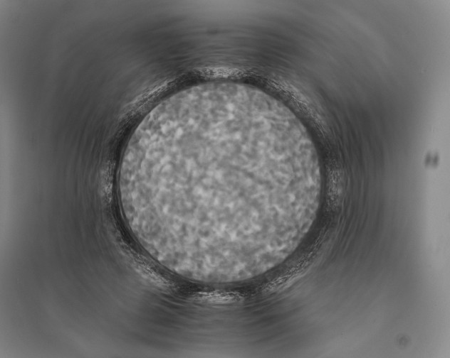 X0000095520545200801111438