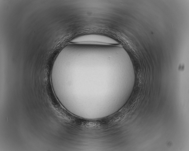 X0000095520546200801111438