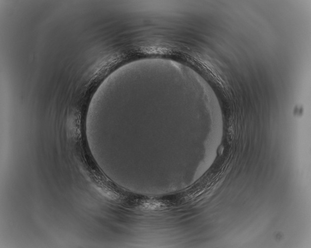 X0000095520547200801111438