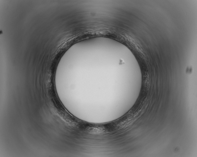 X0000095520548200801111438