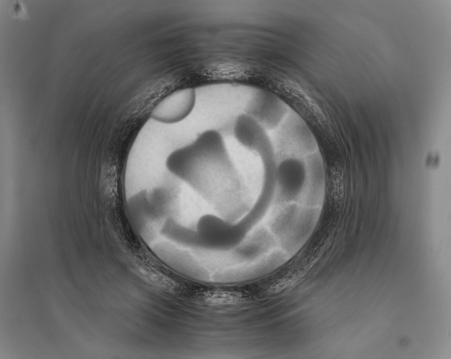 X0000095520549200801111438