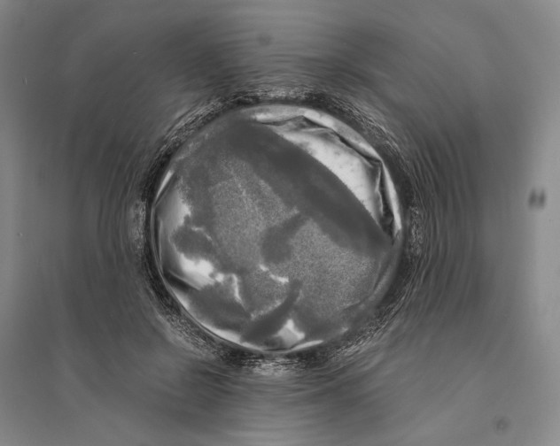 X0000095520550200801111438