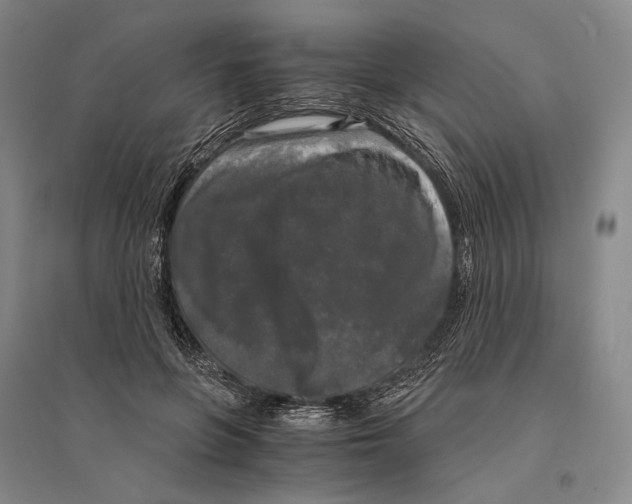 X0000095520551200801111438