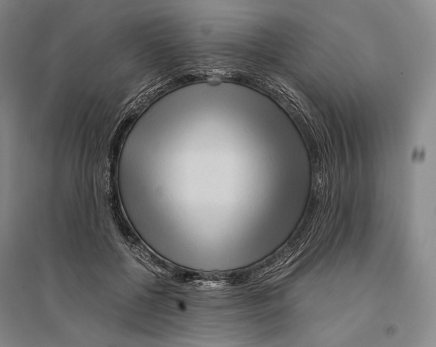 X0000095520552200801111438