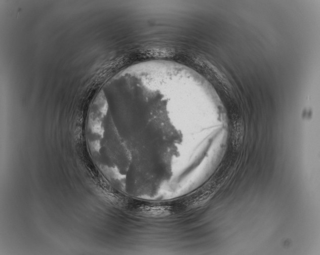 X0000095520553200801111438