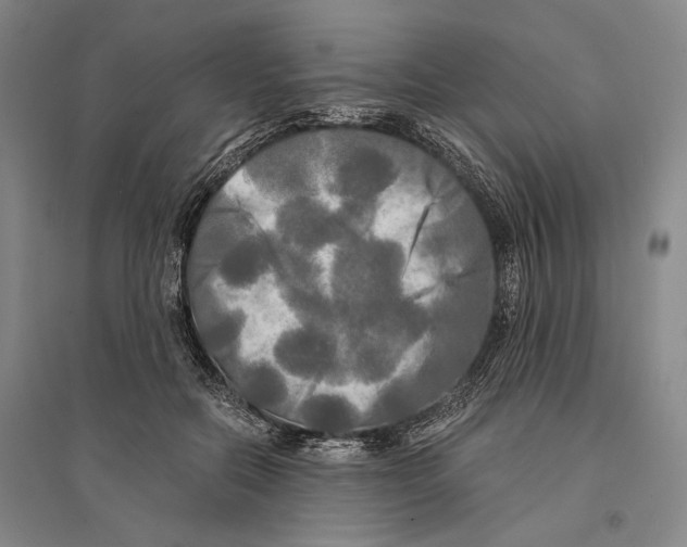 X0000095520554200801111438