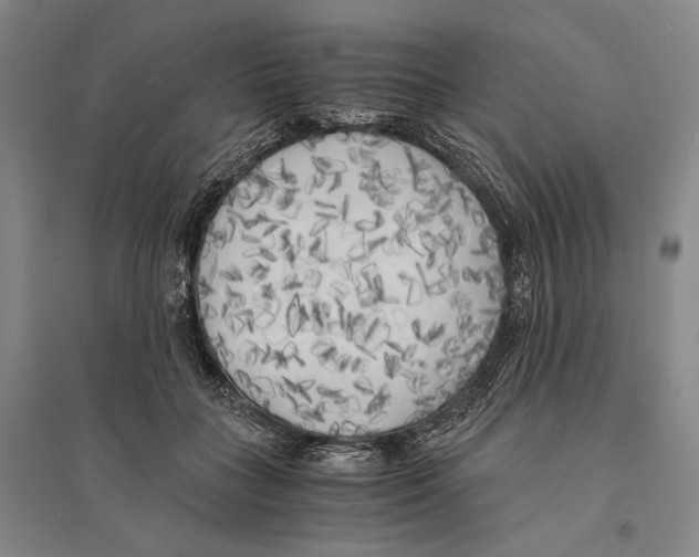 X0000095520555200801111439