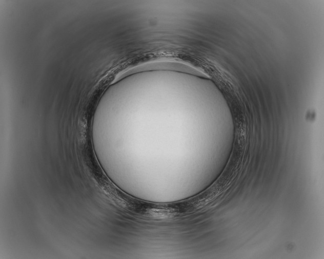 X0000095520556200801111439