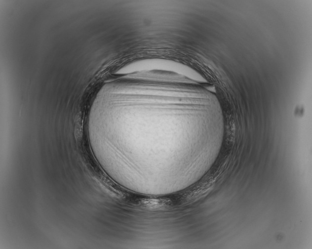 X0000095520558200801111439