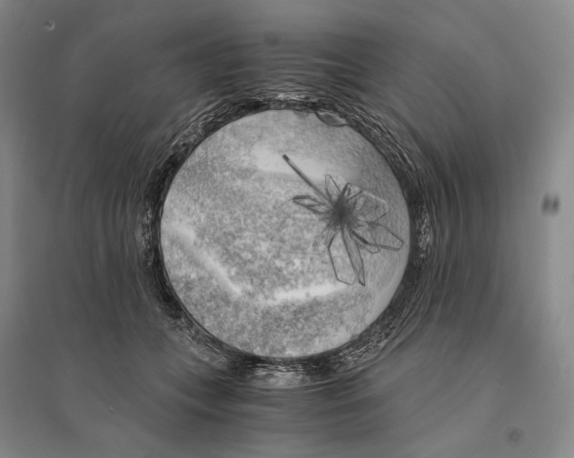 X0000095520559200801111439