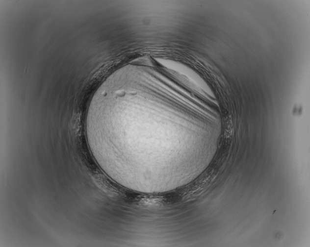 X0000095520560200801111439