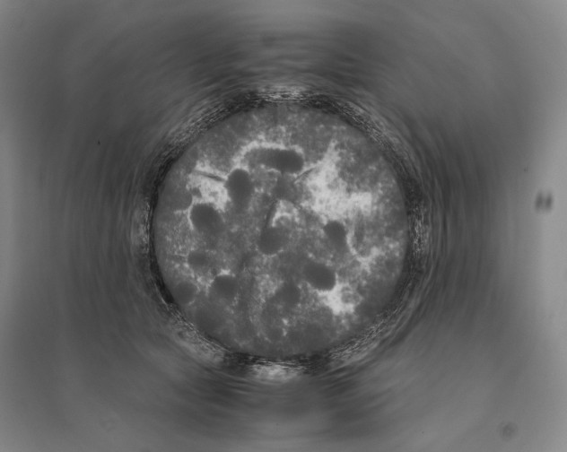 X0000095520561200801111439