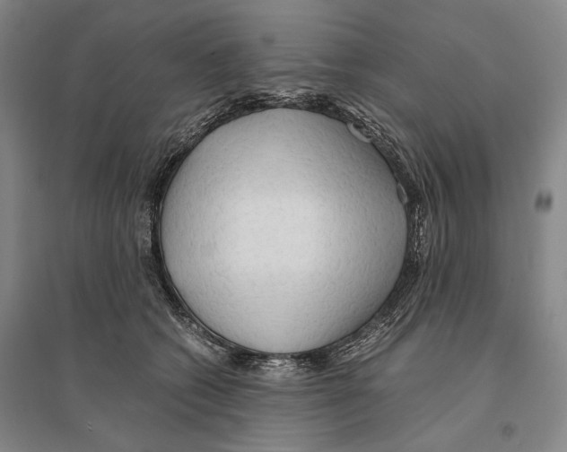 X0000095520562200801111439