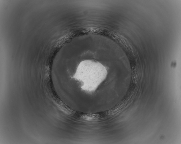 X0000095520563200801111439